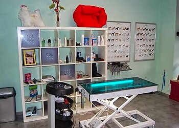 Pico Bello Hundesalon photo Pico Bello Hundesalon