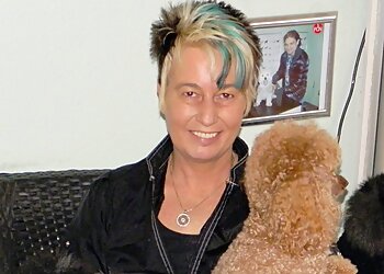 Pico Bello Hundesalon image Pico Bello Hundesalon