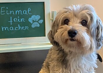 Piets-Dog-Wellness Hundesalon photo Piets-Dog-Wellness Hundesalon