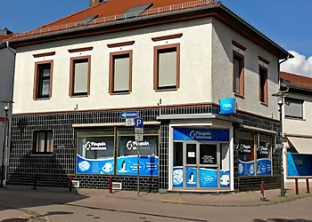 Pinguin Reinigungsannahme