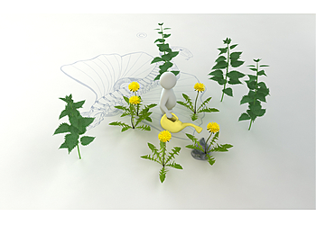 Praxis Dr. med. Ralf Klostermann photo Praxis Dr. med. Ralf Klostermann