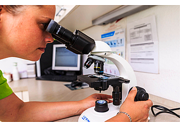 Praxis Tatjana Gorbachevska image Praxis Tatjana Gorbachevska