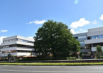 Praxis für Schmerztherapie und die Traditionelle Chinesische Medizin photo Praxis für Schmerztherapie und die Traditionelle Chinesische Medizin