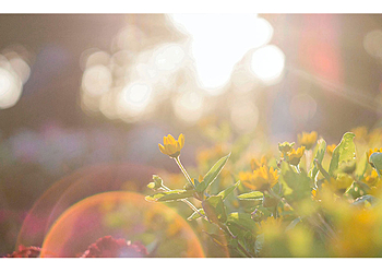 Prof. Dr. med. Christian Berg - Praxis für Familiengesundheit image Prof. Dr. med. Christian Berg - Praxis für Familiengesundheit