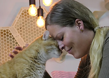 Purrfect Katzenbetreuung image Purrfect Katzenbetreuung