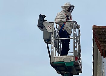 Puschmann Schädlingsbekämpfung photo Puschmann Schädlingsbekämpfung