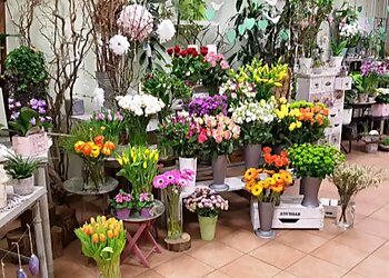 Pusteblume Saarbrücken photo Pusteblume Saarbrücken