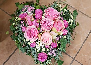 Pusteblume Saarbrücken image Pusteblume Saarbrücken