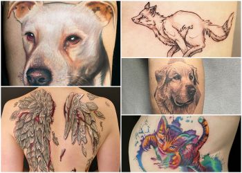 Rattattoo Freiburg Tattoo photo Rattattoo Freiburg Tattoo