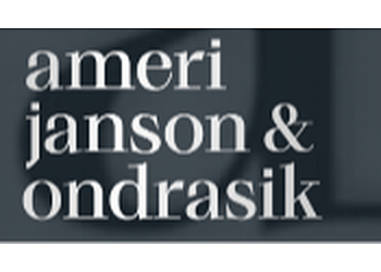 Rechtsanwalt Shervin Ameri -ameri janson & ondrasik image Rechtsanwalt Shervin Ameri -ameri janson & ondrasik