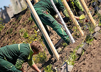 Reculta Garten-und Landschaftsbau GmbH photo Reculta Garten-und Landschaftsbau GmbH