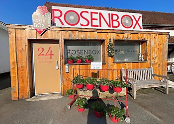 Die 3 besten Blumenläden in Münster Expertenempfehlungen