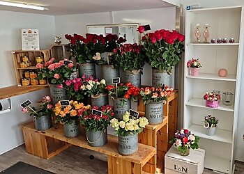 Rosen Freytag image Rosen Freytag