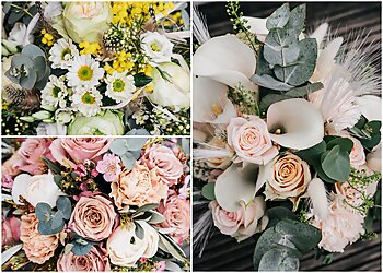 Rosen Neumann image Rosen Neumann