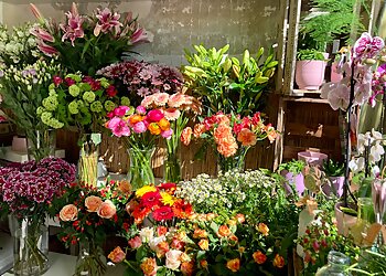 Rosenbote.De image Rosenbote.De