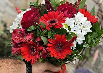 Rosenkavalier Melm Creative photo Rosenkavalier Melm Creative