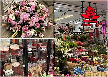 Rosenkavalier Melm Creative image Rosenkavalier Melm Creative