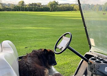 Ruhr-Golf-GmbH image Ruhr-Golf-GmbH