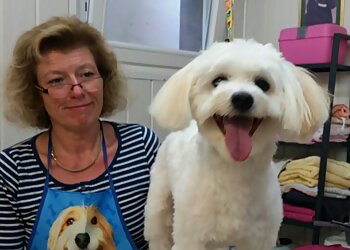 Sabine's Hundepflege photo Sabine's Hundepflege
