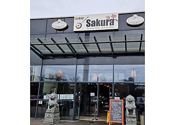 Sakura Running Sushi, Grill & More photo Sakura Running Sushi, Grill & More