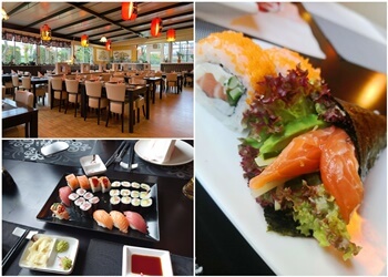 Sakura Sushi & Grill image Sakura Sushi & Grill