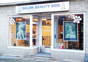 Salon Beauty Dog Salon Beauty Dog