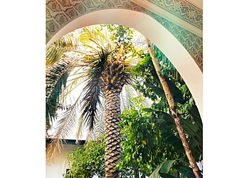 Samana Yoga photo Samana Yoga