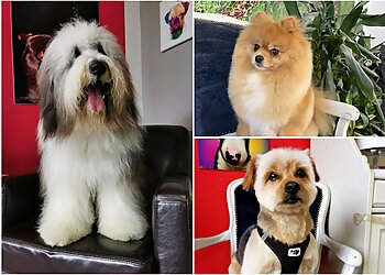 Sandras Hundesalon image Sandras Hundesalon