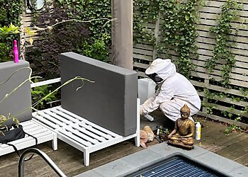 Schad Control Schädlingsbekämpfung photo Schad Control Schädlingsbekämpfung