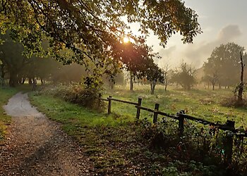 Schwanheimer Dünen photo Schwanheimer Dünen