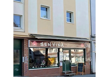 Sen Vina photo Sen Vina