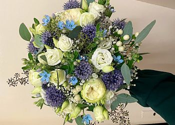 Sevdas Blumen image Sevdas Blumen