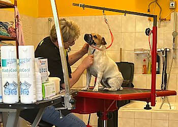 Silvia’s Hundesalon photo Silvia’s Hundesalon