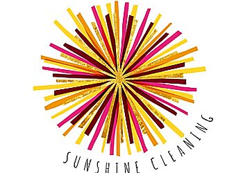 Sunshine Cleaning image Sunshine Cleaning