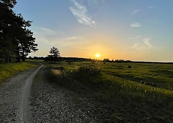 Südliche Fröttmaninger Heide image Südliche Fröttmaninger Heide