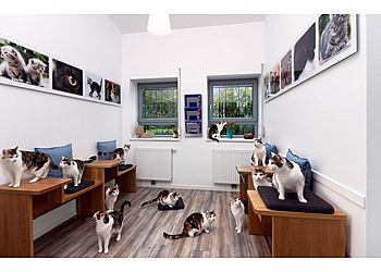 TIERARZTPRAXIS ALLERHEILIGEN image TIERARZTPRAXIS ALLERHEILIGEN