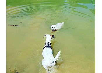 TIERBETREUUNG HAPPY PETS photo TIERBETREUUNG HAPPY PETS