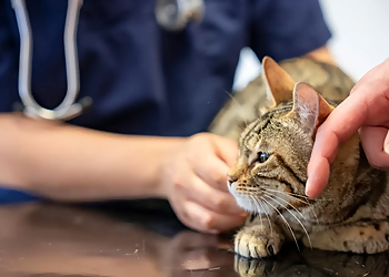 TIERÄRZTLICHES ZENTRUM AN DER FEUERWACHE photo TIERÄRZTLICHES ZENTRUM AN DER FEUERWACHE