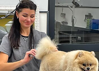 Taffy Hundepflege und mehr photo Taffy Hundepflege und mehr