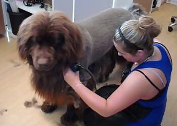 Tamaras Pfotentreff Hundesalon photo Tamaras Pfotentreff Hundesalon