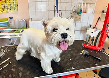 Teddy's Hundesalon photo Teddy's Hundesalon