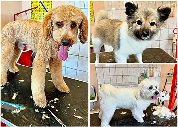 Teddy's Hundesalon image Teddy's Hundesalon