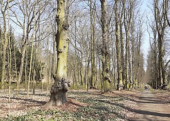 Tegeler Forst (südlicher Teil) image Tegeler Forst (südlicher Teil)