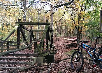 Teufelsseemoor Köpenick photo Teufelsseemoor Köpenick