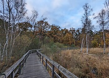 Teufelsseemoor Köpenick image Teufelsseemoor Köpenick