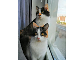 Teuto Vets photo Teuto Vets