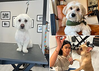 The Dog’s Barber image The Dog’s Barber