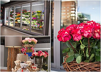 The Rosarium image The Rosarium