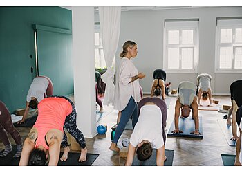 The Vinyasa People Yoga image The Vinyasa People Yoga