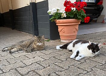 Thorsten Neunzig Tierarztpraxis im Koelle Zoo Ludwigshafen photo Thorsten Neunzig Tierarztpraxis im Koelle Zoo Ludwigshafen